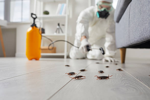 Trusted Termite Control service in Lookout Mountain, TN - Nex Pest Control