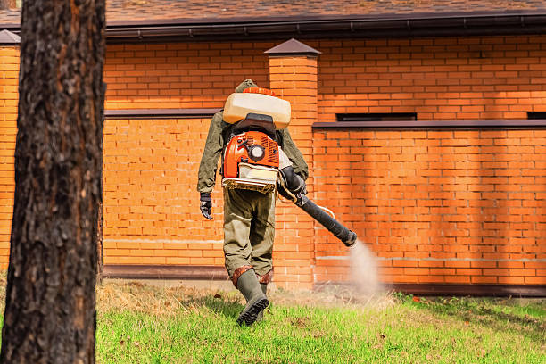Trusted Emergency Pest Control service in Lookout Mountain, TN - Nex Pest Control